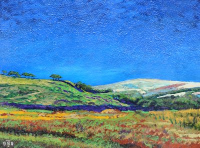 Derbyshire landscape, 1999 by Trevor Neal